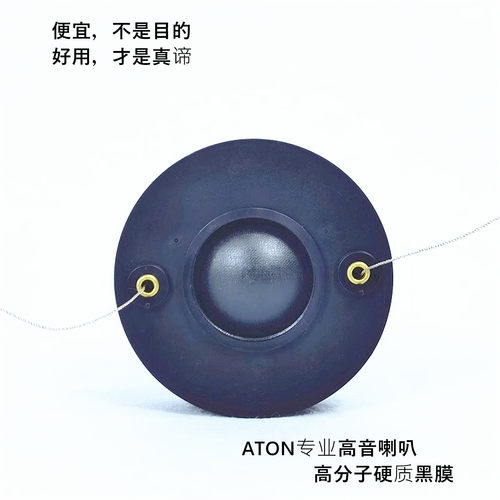 专业高音大磁钢音圈大功率丝膜