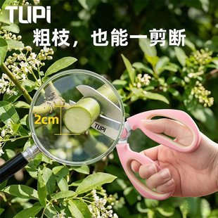 鲜切花打刺修枝剪进口花艺专用锋利省力可打刺插花防锈园艺剪刀