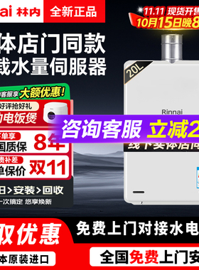 Rinnai/林内REU-A2024WF/A2426WF日本原装进口室内燃气热水器20升