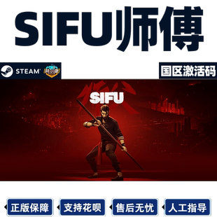 steam师傅 Sifu 师父 激活码CDKEY PC中文正版游戏 第三人称 动作
