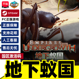 Steam游戏地下蚁国 Empires of the Undergrowth 国区激活码CDKey
