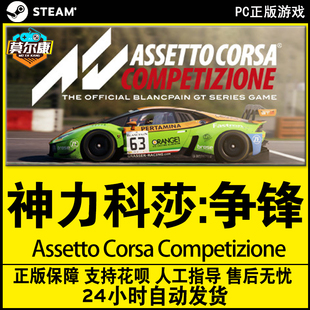 中文PC游戏神力科莎 Assetto 争锋 Steam正版 Corsa Competizione