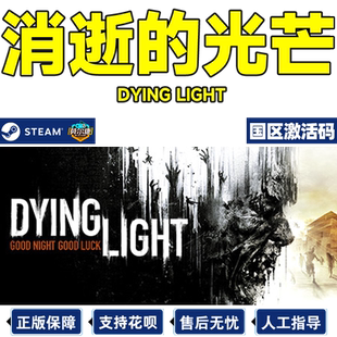 steam 消逝的光芒 激活码CDKey Dying Light 消失的 信徒加强版DLC白金版季票PC游戏中文正版 消逝的光芒1
