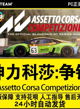 Steam 神力科莎:争锋 竞速 DLC 合集 Assetto Corsa Competizione 正版游戏中文PC