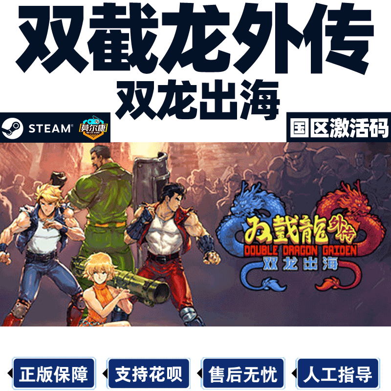 Steam正版PC中文游戏 双截龙外传 双龙出海 国区激活码cdk Double Dragon Gaiden: Rise of the Dragons