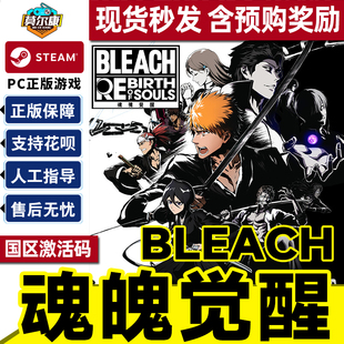 Rebirth PC正版 BLEACH 游戏 CDKey 死神魂魄觉醒 国区激活码 Steam游戏 Souls
