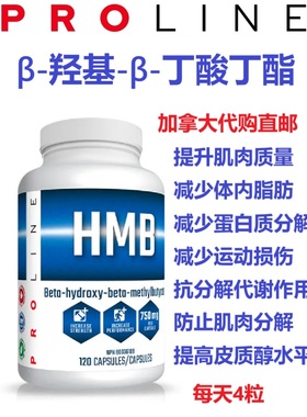 高浓度盐酸肌酸粉ProLine加拿大代购直邮Creatine HCL瘦肌肉运动