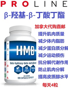 高浓度盐酸肌酸粉ProLine加拿大代购直邮Creatine HCL瘦肌肉运动