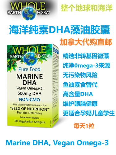 海洋纯素DHA藻油Whole Earth & Sea加拿大代购直邮Omega孕妇鱼油