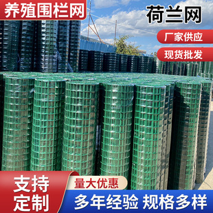 荷兰网圈地养鸡网钢丝养殖网围栏网硬塑铁丝网护栏网圈山铁网菜园