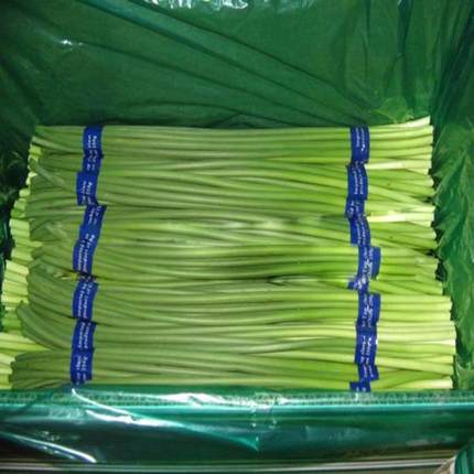 26年白帽蒜苔新鲜切头去尾净菜当季蔬菜农家鲜嫩蒜薹蒜苗生鲜推荐