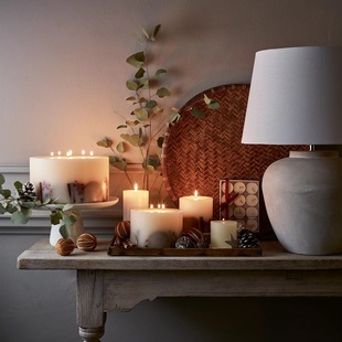 winter冬天藤条香薰蜡烛甜橙肉桂家居 company英国代购 the white