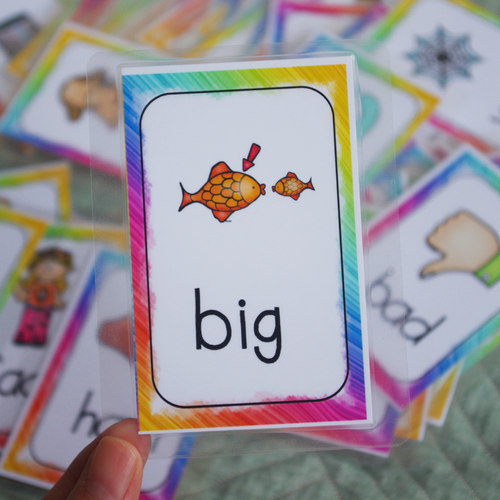 CVC自然拼读卡片phonics英文单词闪卡幼儿英文启蒙教具