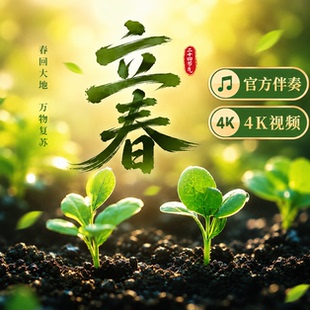 薛凯琪《立春》伴奏4K超清背景视频