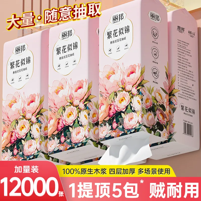 丽邦提挂式抽纸悬挂抽取式卫生纸家用擦手纸厕纸大包平板卫生纸巾