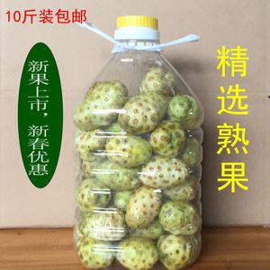 海南诺丽果诺丽果鲜果诺丽果酵素原料热带有机水果10斤瓶装诺尼果