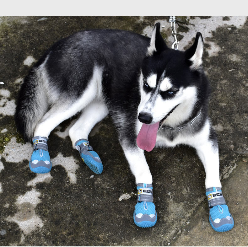 宠物中大型犬狗狗脚套金毛哈士奇边牧法斗柴犬专用防水秋冬季鞋子