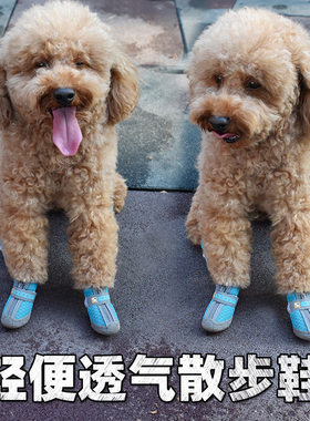狗鞋子不掉防水透气鞋子