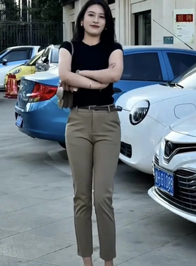 网红夏季薄款高腰直筒烟管裤女小个子九分休闲西裤修身通勤职业裤