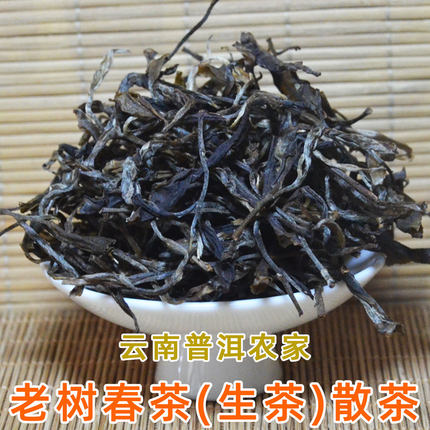 2025云南普洱农家老树春茶生茶散茶老树混采散装晒青毛茶