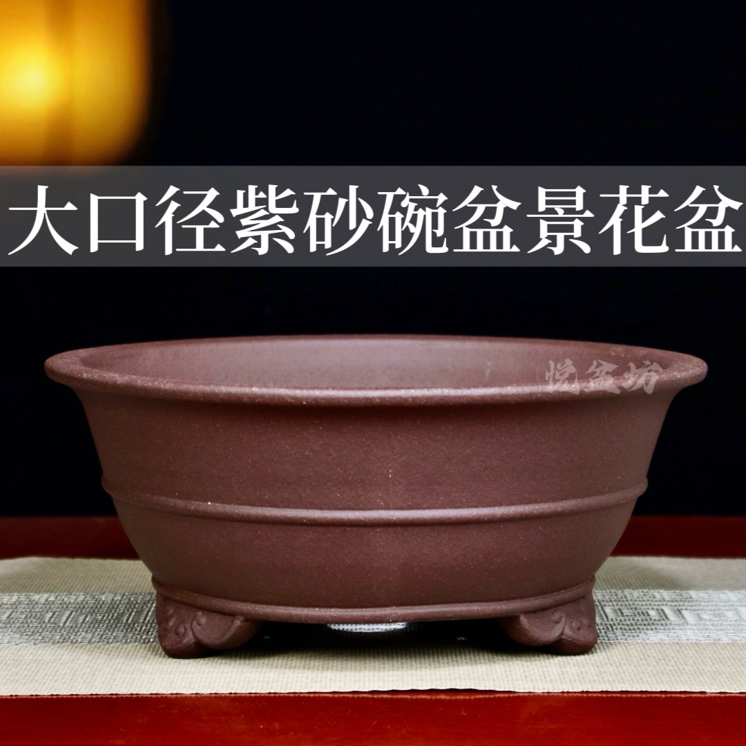 精品紫砂花盆陶瓷绿植大号大口径圆形盆景盆多肉金弹子黄杨梅花盆