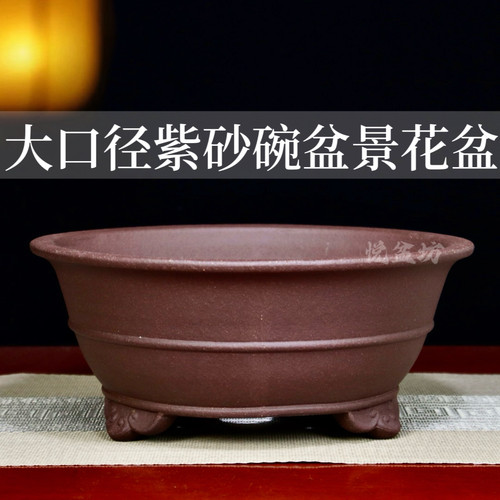 精品紫砂花盆陶瓷绿植大号大口径圆形盆景盆多肉金弹子黄杨梅花盆