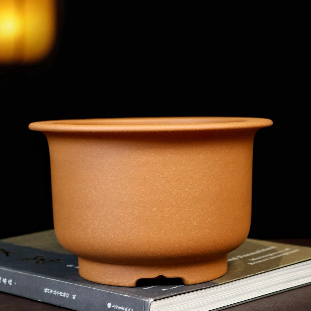 精品紫砂花盆矮小兰花金弹子内门竹圆形金钟盆景盆桌面绿植盆栽盆