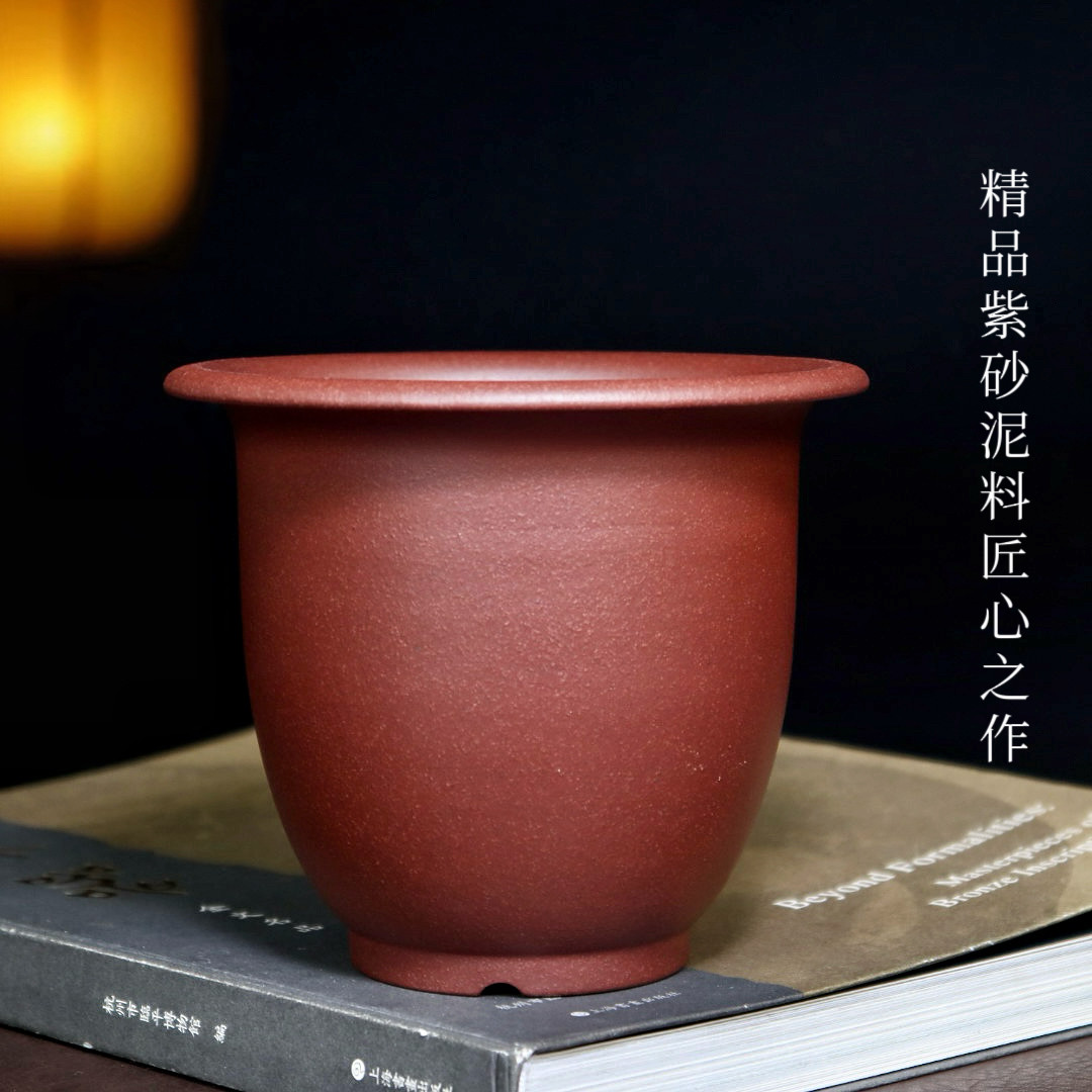 高端精品紫砂花盆小兰花专用金钟盆景盆蝴蝶兰多肉云竹桌面绿植盆