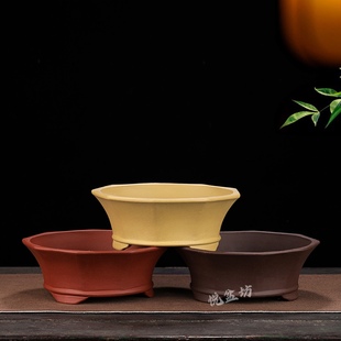 特价精品紫砂花盆多肉盆景盆金弹子金豆黄杨梅花老桩盆菖蒲云竹盆