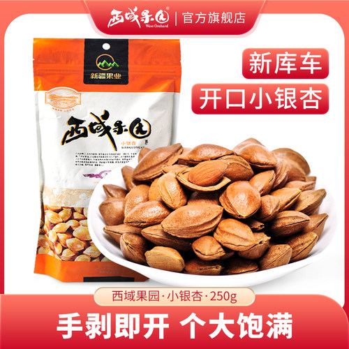 西域果园开口小银杏250g