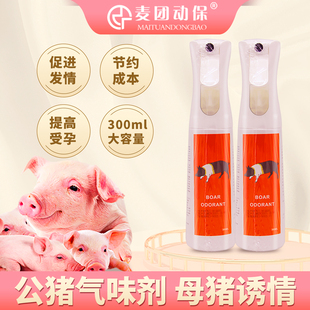 宁波二厂公猪气味剂后备母猪发情诱情剂兽用荷尔蒙喷雾配种查情