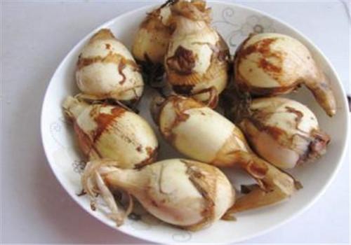 南京农家自种慈姑茨菰小茨菇实物拍一斤新鲜蔬菜十样菜配菜