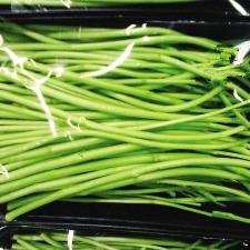 南京芦蒿江浙沪包邮南京八卦洲去叶子无叶净芦蒿藜蒿泥蒿新鲜发货