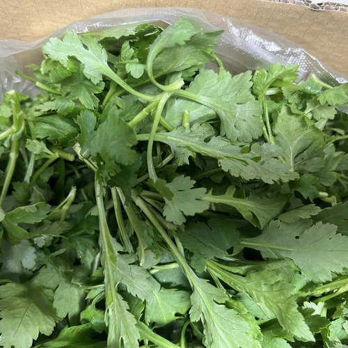 新鲜南京特产菊花脑菊花叶菊花脑头蔬菜现摘现发露天新鲜现摘发