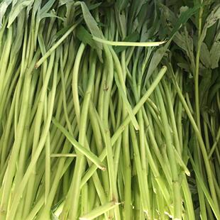 八卦洲5斤芦蒿去老根叶芦蒿实拍南京野菜泥蒿黎藜蒿新鲜全国包邮