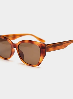 58317新款欧美跨境偏光太阳眼镜潮女网红素颜街拍大框墨镜显脸小