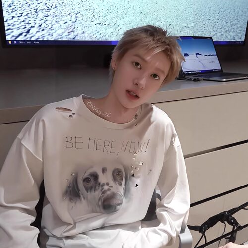 SUSUSELECT 狗狗印花长袖T恤宽松休闲百搭上衣cortis马丁同款