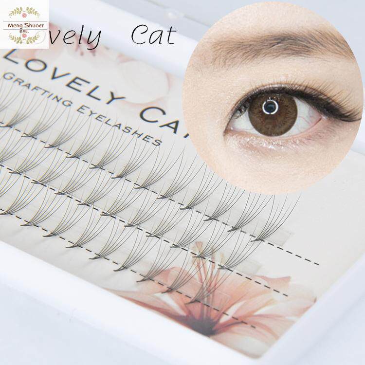 grafting plant eyelash Camellia 5 False eyelashes natural lifelike Plant Practicein the Makeup/Perfume/Beauty tools , False eyelashes  category - from Buy2taobao.com to provide professional Taobao agent buy service