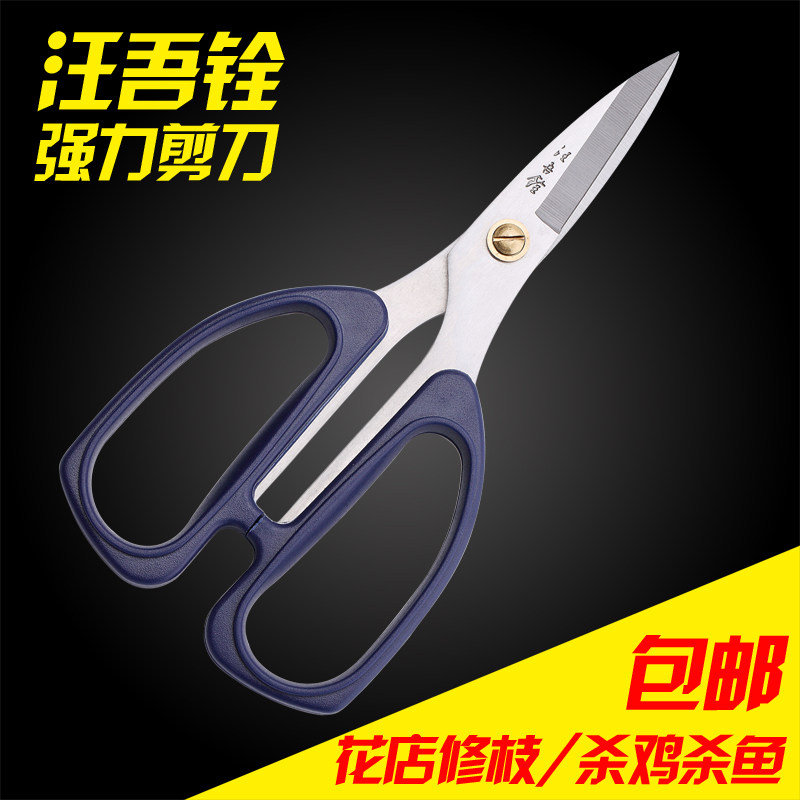 汪吾铨塑柄不锈钢厨房强力剪刀家用办公剪子杀鸡杀鱼修花花艺剪刀