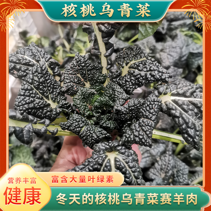 黑菜宝应特产产地直销