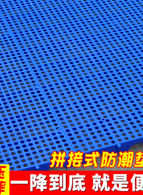 仓库塑料防潮垫板超市库房地垫栈板冷库垫板地台板网格卡板洞洞板
