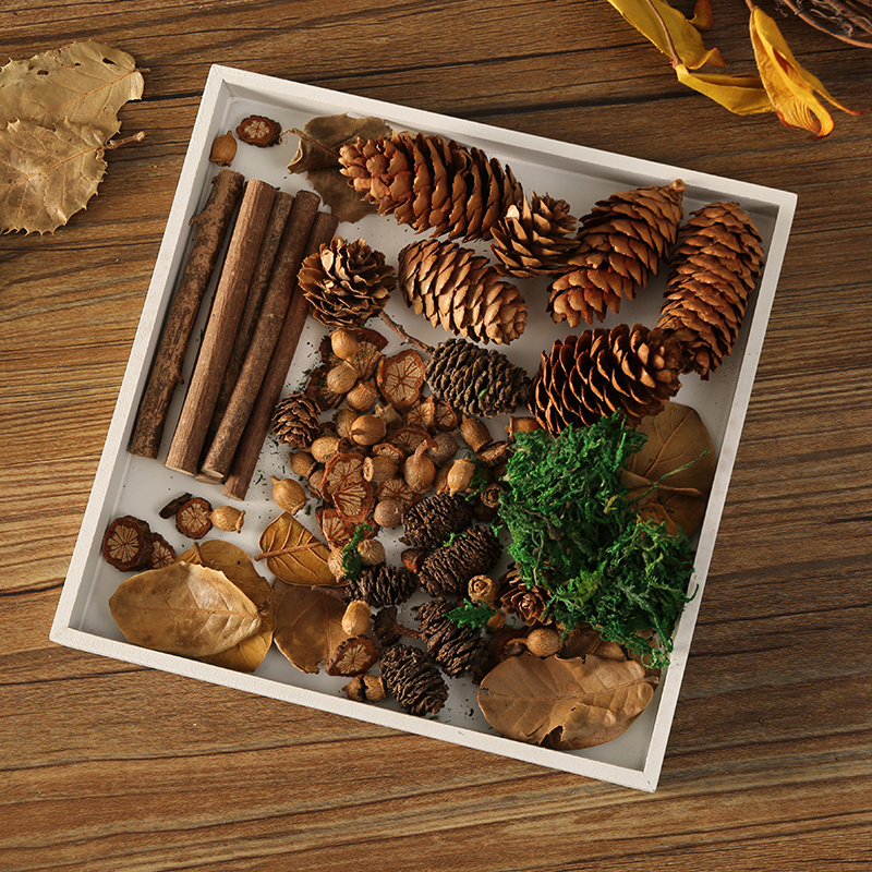 树枝材料DIY装饰摆件拍照道具