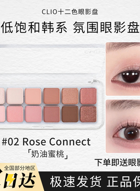 CLIO珂莱欧12色眼影盘小样水泥盘哑光珠光防水自然提亮01/11试色