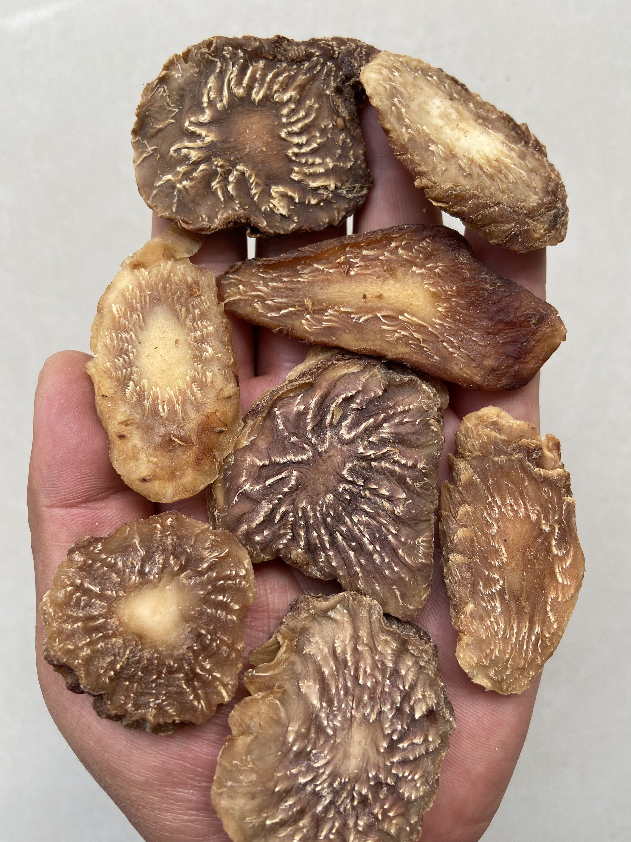 阿拉善优质高质肉苁蓉鲜干切片正宗养生滋补干净方便食用泡水500g