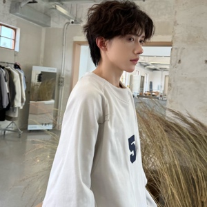 C316 WY1248 P68 秋装新款灰色卫衣运动舒适圆领时尚刺绣外套男装图片