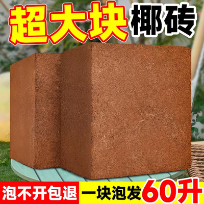 大块椰砖营养土一块泡发60升