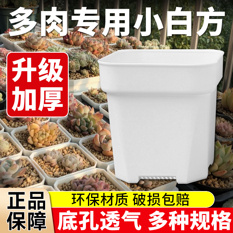 套餐丨代10cm大方盆 【25个装】多肉植物大黑白方 加厚花盆 鲜花速递/花卉仿真/绿植园艺 土壤覆盖物 原图主图