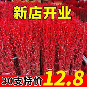 银柳真花鲜枝新年宵花卉盆栽红色干花福桶室内花客厅银柳干花摆件