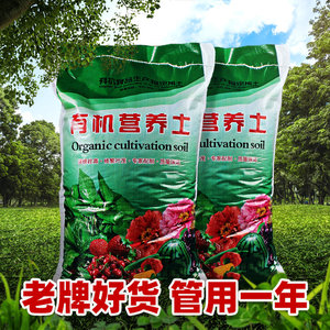 花卉盆栽种菜通用商品包邮售后