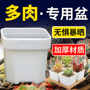 热卖 八角加厚小白方多肉花盆特厚塑料方形植物叶插育苗盆大黑方盆